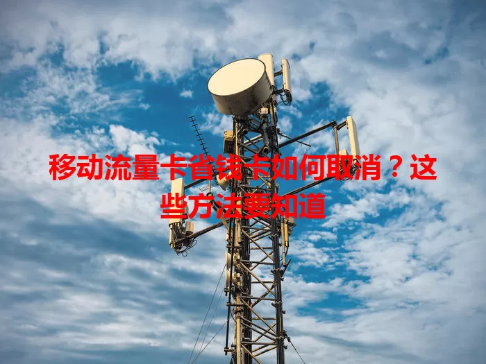 移动流量卡省钱卡如何取消？这些方法要知道