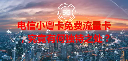 电信小粤卡免费流量卡，究竟有何独特之处？