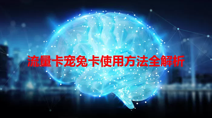 流量卡宠兔卡使用方法全解析