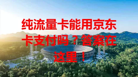 纯流量卡能用京东卡支付吗？答案在这里！