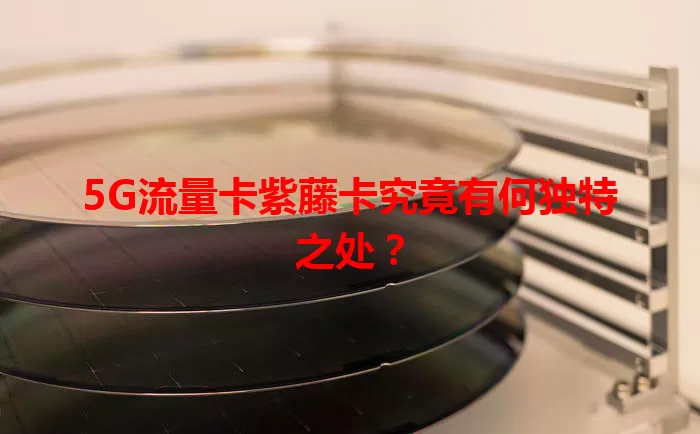 5G流量卡紫藤卡究竟有何独特之处？