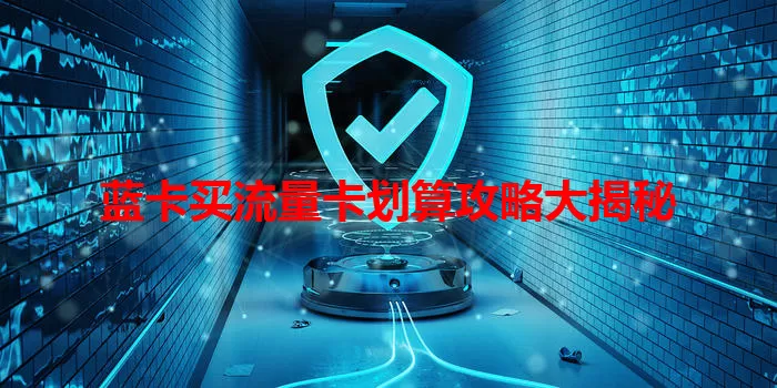 蓝卡买流量卡划算攻略大揭秘