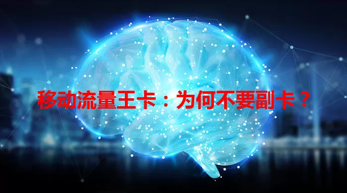 移动流量王卡：为何不要副卡？