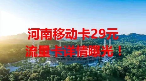河南移动卡29元流量卡详情曝光！