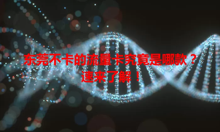 东莞不卡的流量卡究竟是哪款？速来了解！