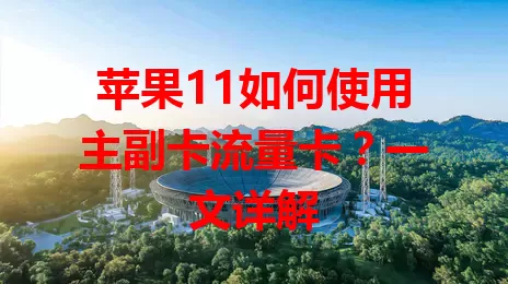 苹果11如何使用主副卡流量卡？一文详解