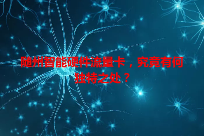 随州智能硬件流量卡，究竟有何独特之处？