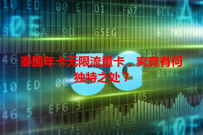 泰国年卡无限流量卡，究竟有何独特之处？