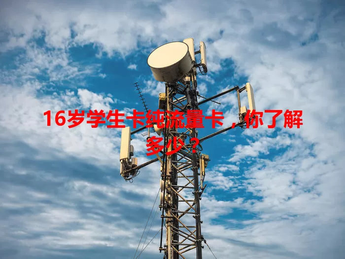 16岁学生卡纯流量卡，你了解多少？