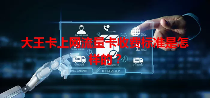 大王卡上网流量卡收费标准是怎样的？