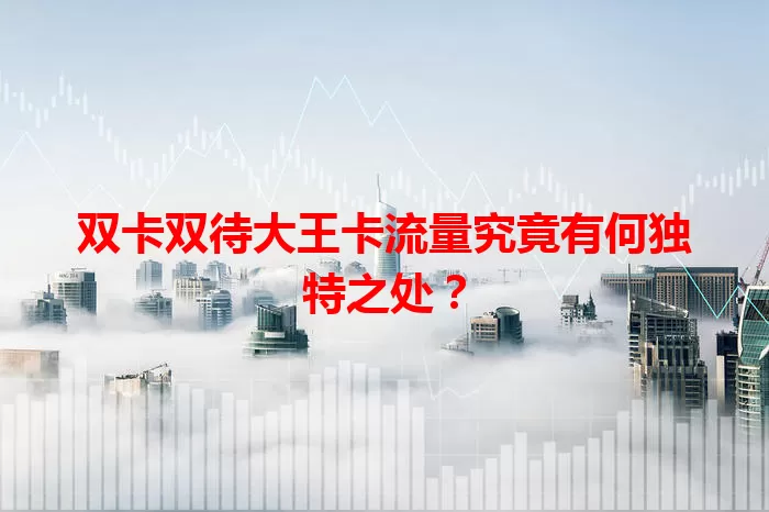 双卡双待大王卡流量究竟有何独特之处？