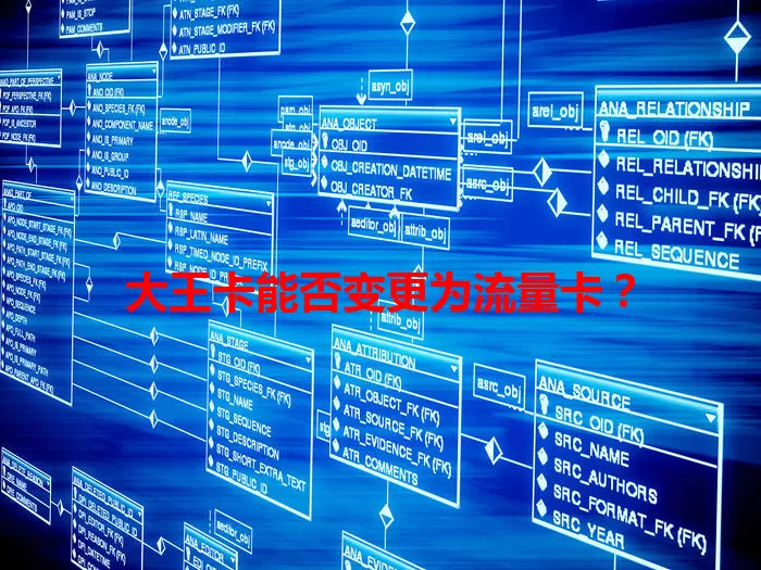 大王卡能否变更为流量卡？