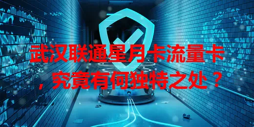 武汉联通星月卡流量卡，究竟有何独特之处？