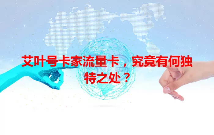 艾叶号卡家流量卡，究竟有何独特之处？