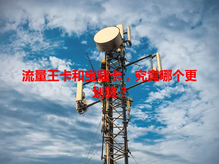 流量王卡和宝藏卡，究竟哪个更划算？
