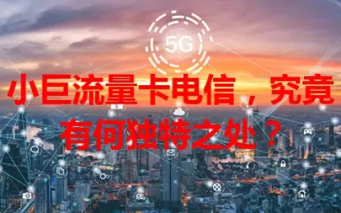 小巨流量卡电信，究竟有何独特之处？