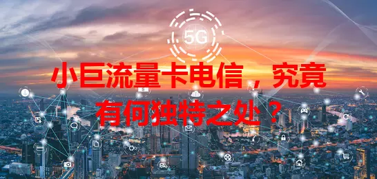 小巨流量卡电信，究竟有何独特之处？
