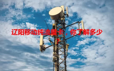 辽阳移动纯流量卡，你了解多少？