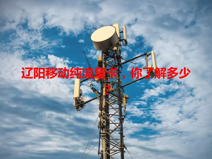 辽阳移动纯流量卡，你了解多少？