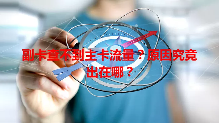 副卡查不到主卡流量？原因究竟出在哪？