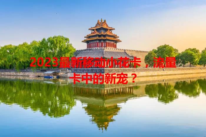 2023最新移动小花卡，流量卡中的新宠？