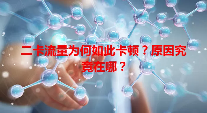 二卡流量为何如此卡顿？原因究竟在哪？
