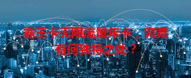 霸王卡无限流量年卡，究竟有何独特之处？