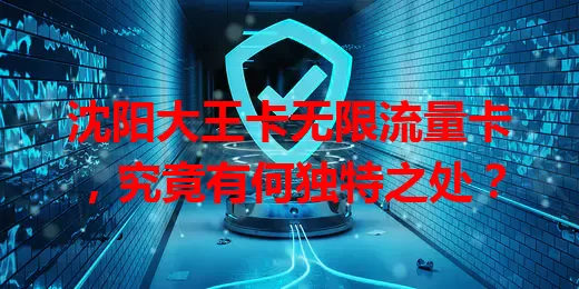 沈阳大王卡无限流量卡，究竟有何独特之处？