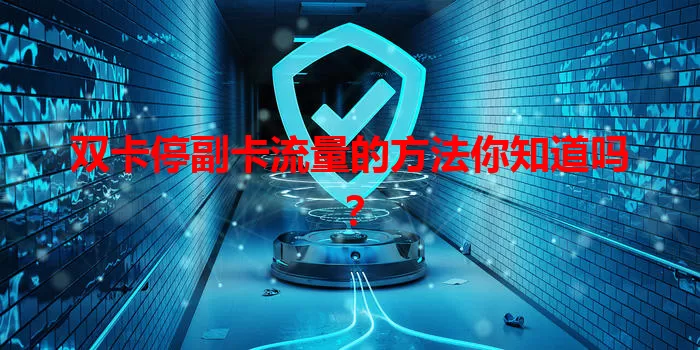 双卡停副卡流量的方法你知道吗？