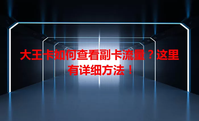 大王卡如何查看副卡流量？这里有详细方法！